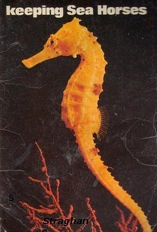 Keeping Sea Horses