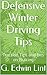 Defensive Winter Driving Tips by G. Edwin Lint