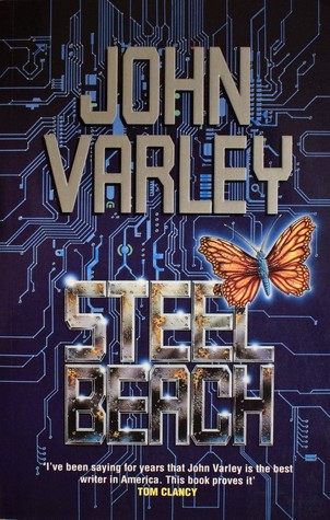 Steel Beach