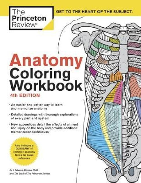 Anatomy Coloring Workbook: An Easier and Better Way to Learn Anatomy