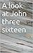 A look at John three sixteen