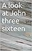 A look at John three sixteen by Joseph Zeigler