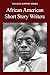 African American Short Story Writers (College Support Series)