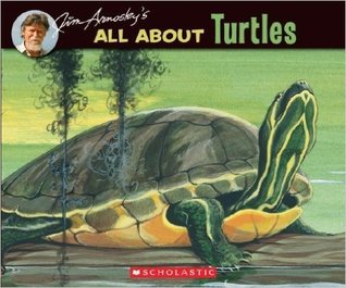 All About Turtles (Paperback)