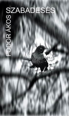Szabadesés (Paperback)