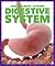Digestive System (Pogo Books: Amazing Body Systems)