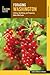 Foraging Washington (Foragi...