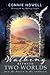 Walking Between Two Worlds: From the known to the unknown