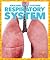 Respiratory System (Pogo Books: Amazing Body Systems)