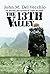 The 13th Valley by John M. Del Vecchio