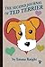 The Second Journal of Ted Terrier (The Journal of Ted Terrier Book 3)