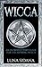 Wicca: An Introductory Guid...