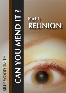 An Interrupted Love Story (Can You Mend It? #1)
