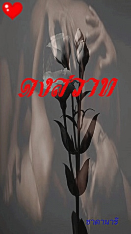 ดงสวาท (ebook)