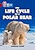 Collins Big Cat – The Life Cycle of a Polar Bear: Band 14/Ruby