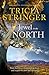 Jewel In The North (Flinders Ranges Series Book 3)