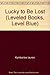 Lucky to Be Lost (Leveled Books, Level Blue)