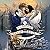 Quests for Glory (The Schoo...