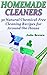 Homemade Cleaners by Julie Brown