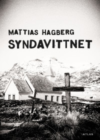 Syndavittnet (Hardcover)
