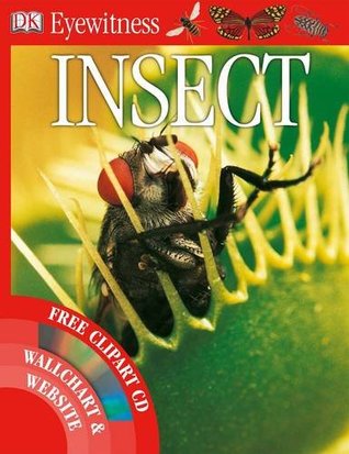 Insect (Paperback)