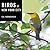 Birds of New York City