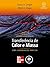 Tranferência de Calor e Massa: Uma Abordagem Prática (Portuguese Edition)