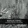 Reflecting: Nature in Black and White