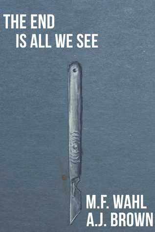 The End Is All We See (Paperback)