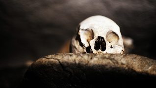 The Truth is a Cave in the Black Mountains