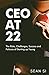 CEO at 22 by Sean Patrick Si
