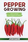Pepper Growing: How to Grow Hot Peppers at Home