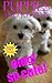 OMG! CUTE PUPPY AND KITTEN PICTURES FOR CHILDREN!: 1000+ PICTURES OF THE CUTEST ANIMALS (CUTE BABY ANIMALS Book 14)