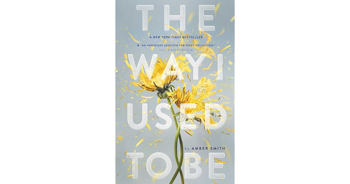 The Way I Used to Be by Amber Smith