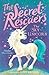 The Sky Unicorn (2) (The Secret Rescuers)