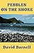 Pebbles on the Shore by David Burnell Pebbles on the Shore by David Burnell