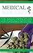 Medical Marijuana: The Basic Principles For Cannabis Medicine