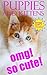 OMG! CUTE PUPPY AND KITTEN PICTURES FOR CHILDREN! by Jamie Milly