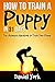 How to Train a Puppy in 31 ...
