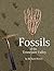 Fossils of the Tennessee Valley by Richard Keyes