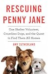 Rescuing Penny Jane by Amy Sutherland