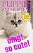OMG! CUTE PUPPY AND KITTEN PICTURES FOR CHILDREN! by Jamie Milly