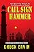 Call Sign Hammer (A David Logan and Nahbi Series Thriller)