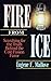 Fire from Ice: Searching for the Truth Behind the Cold Fusion Furor