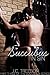 Succubus in Sin (Succubus Series Book 3)