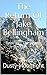 The Return Of Jake Bellingham: Book 11 - The Deadly Gun