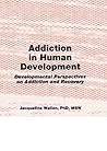 Addiction in Human Development: Developmental Perspectives on Addiction and Recovery (Haworth Addictions Treatment)