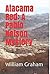 Atacama Red: A Pablo Nelson Mystery