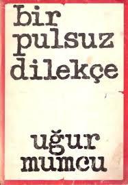 Bir Pulsuz Dilekçe (Paperback)
