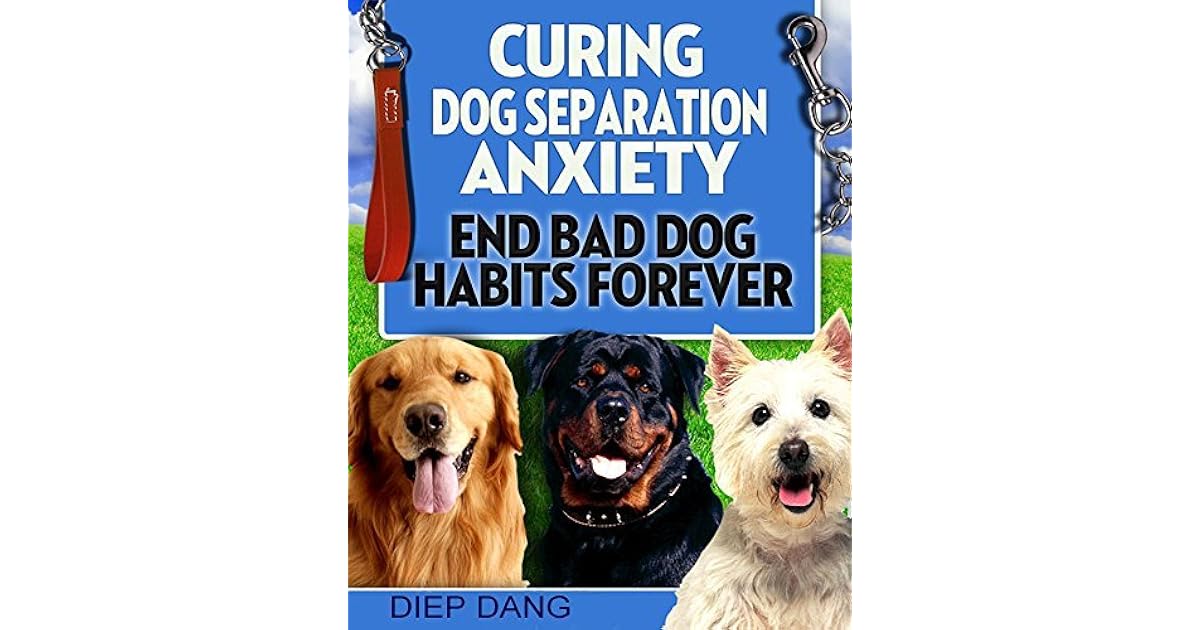 curing dog anxiety